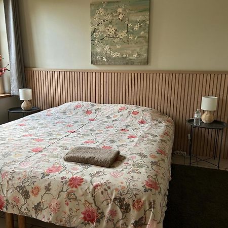 Au Coeur Des Collines, Charmette Villa Ellezelles Kültér fotó