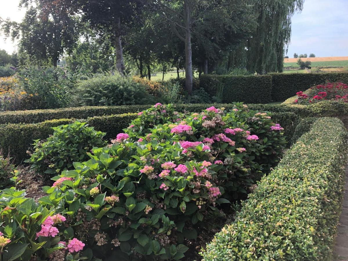 Au Coeur Des Collines, Charmette Villa Ellezelles Kültér fotó